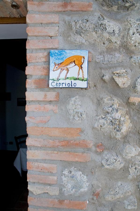 Agriturismo Fontesettimena Appartamento Rondine- Appartamento Capriolo 渥尔特拉 外观 照片